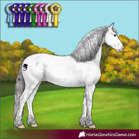 Horse Color:Liver Red Dun Mushroom Sabino Appaloosa 