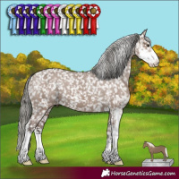 Horse Color:Liver Red Dun Mushroom Sabino Snowflake Varnish