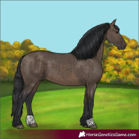 Horse Color:Brown Dun