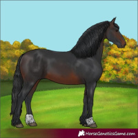 Horse Color:Brown 