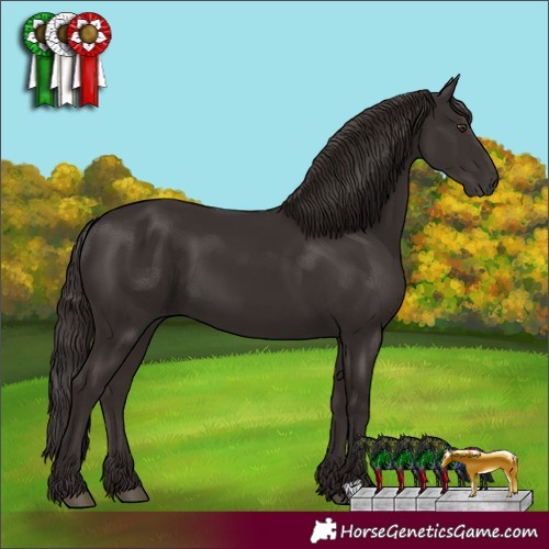 Horse Color:Liver Chestnut 