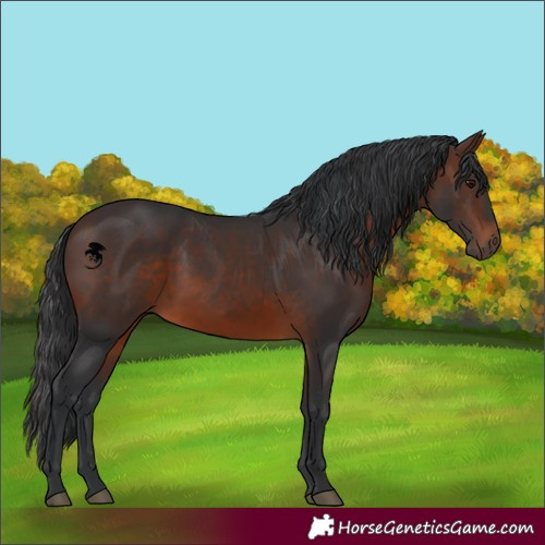 Horse Color:Brown 