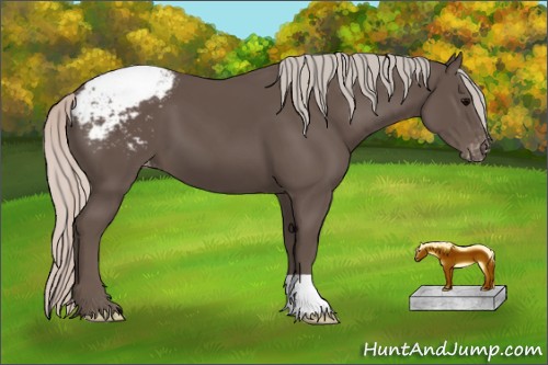 Horse Color:Silver Black Appaloosa