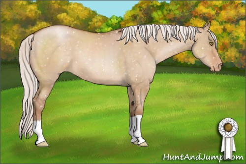 Horse Color:Silver Bay Pearl Dun Appaloosa 