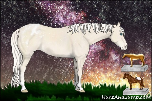 Horse Color:Cremello Appaloosa 