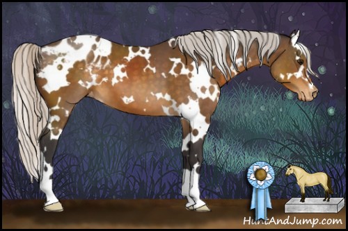 Horse Color:White Spotted Silver Buckskin Appaloosa 
