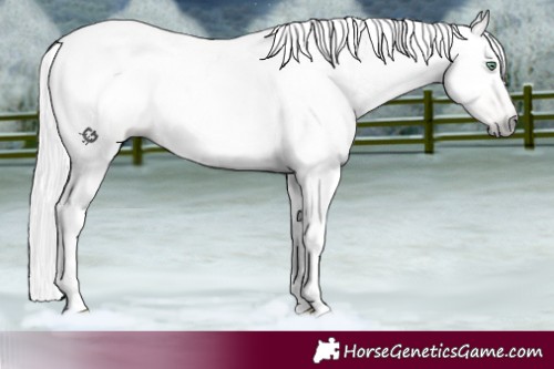 Horse Color:Gray Silver Classic Champagne Roan Pearl 