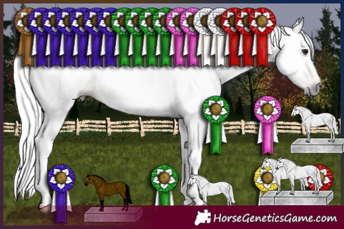 Horse Color:Gray Silver Bay Dun