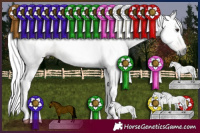 Horse Color:Gray Silver Bay Dun 