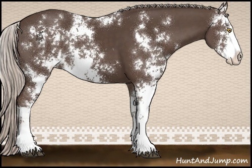 Horse Color:Silver Black Sabino 