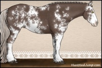 Horse Color:Silver Black Sabino 