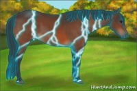 Horse Color:Thunderstruck Brown 