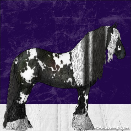 Horse Color:White Spotted Liver Chestnut Ice 