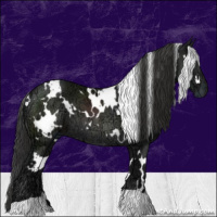 Horse Color:White Spotted Liver Chestnut Ice 