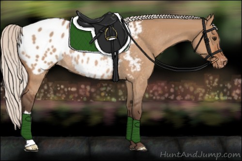Horse Color:Silver Bay Dun Appaloosa Rabicano 