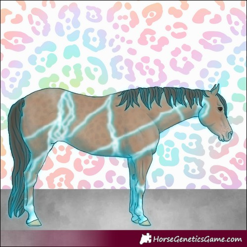 Horse Color:Thunderstruck Classic Champagne 