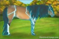 Horse Color:Thunderstruck Buckskin 