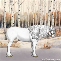 Horse Color:White Spotted Buckskin Splash Appaloosa Rabicano