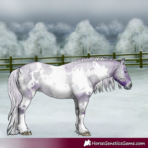 Horse Color:Watercolor White Spotted Silver Brown Chinchilla Ice Onyx 