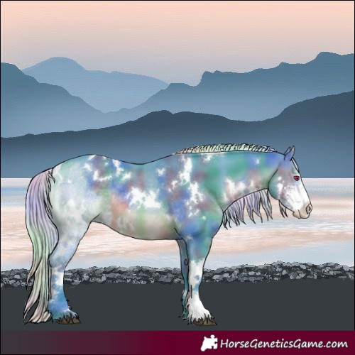 Horse Color:Nacre Watercolor White Spotted Silver Brown Chinchilla Sabino Rabicano 
