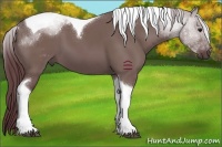 Horse Color:Chocolate Grullo Tobiano