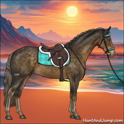 Horse Color:Chocolate Palomino 