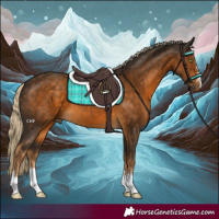 Horse Color:Chocolate Palomino 