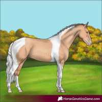 Horse Color:Silver Classic Champagne Tobiano 