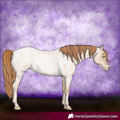 Horse Color:Smoky Blue Roan Pearl 