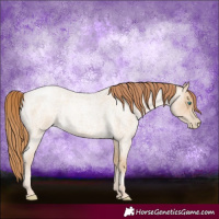 Horse Color:Smoky Blue Roan Pearl 