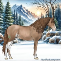 Horse Color:Liver Chestnut Pearl Sabino 