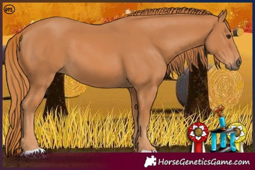 Horse Color:Unknown 