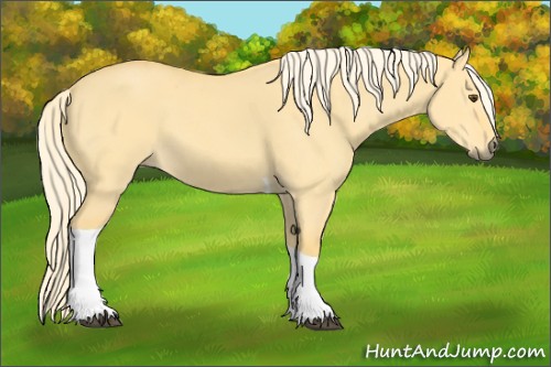 Horse Color:Palomino Dun Tobiano 