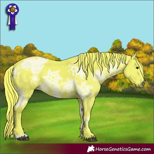 Horse Color:Watercolor Liver Chestnut Ice 
