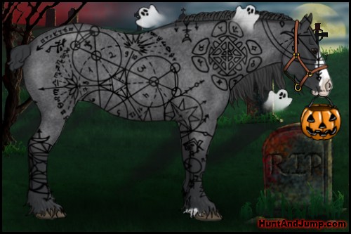 Horse Color:Blue Roan Splash