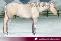Horse Color:White Spotted Palomino Pearl Dun Tobiano