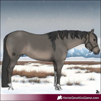 Horse Color:Grullo Tobiano 