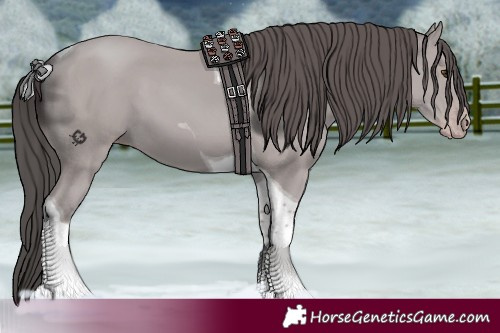 Horse Color:Platinum Classic Champagne Tobiano 