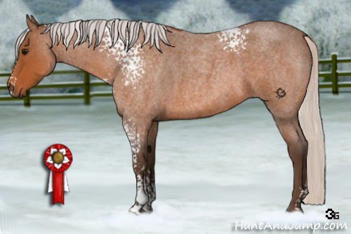 Horse Color:White Spotted Silver Bay Roan 