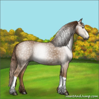 Horse Color:Gray Chestnut 