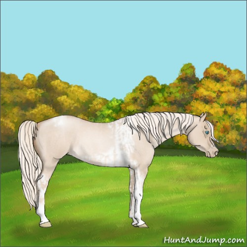 Horse Color:Chocolate Palomino Roan Pearl Dun Tobiano Frame  and Chocolate Palomino Roan Pearl Dun Tobiano Frame 
