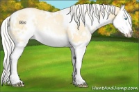 Horse Color:White Spotted Silver Buckskin Pearl Splash 
