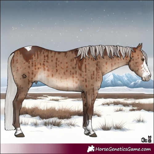 Horse Color:Silver Brown Dun Sabino Tobiano Brindle 