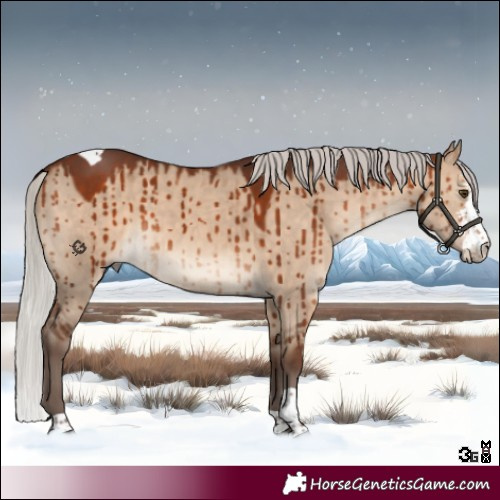 Horse Color:Silver Brown Dun Sabino Tobiano Brindle 