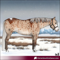 Horse Color:Silver Brown Dun Sabino Tobiano Brindle 