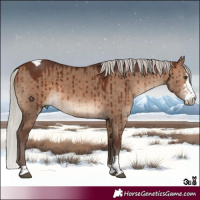 Horse Color:Silver Brown Dun Sabino Tobiano Brindle 