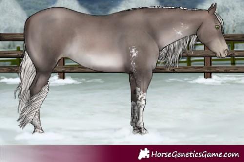 Horse Color:Gray Platinum Silver Brown Pearl Sabino Tobiano Rabicano 