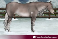 Horse Color:Gray Platinum Silver Brown Pearl Sabino Tobiano Rabicano