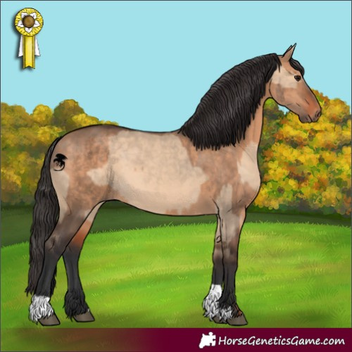 Horse Color:Bay Dun  and Brown Dun 