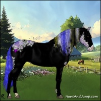Horse Color:Watercolor White Spotted Bay Dun 